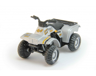 CFORCE 383 4x4 Holsten Quad-Edition (2005), silver