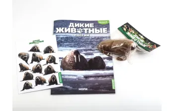 Дикие животные России № 21: Морж