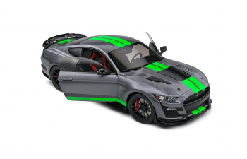 FORD Mustang Shelby Gt500 Kr Coupe (2023), grey / green