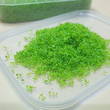 Присыпка листва/трава, мелкая яркий жёлто-зелёный, 200 ml