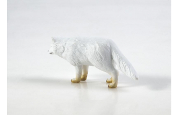 Дикие животные России № 18: Песец