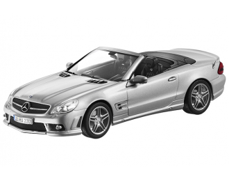 MERCEDES-BENZ SL 65 AMG R230 (2008), silver iridium