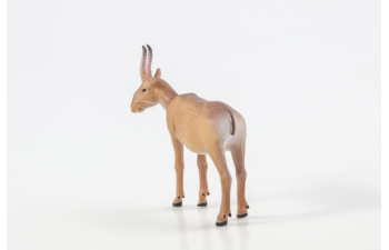 Дикие животные России № 23: Сайгак (только вложение)