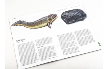 Выпуск №21. Камни и минералы. Тайны недр, Лепидолит