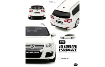 VOLKSWAGEN Passat (B6) Variant R36 *Resin series* (2008), candy white