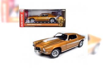 CHEVROLET Camaro Baldwin Motion (1973), brown metallic white