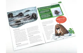 Дикие животные России № 21: Морж