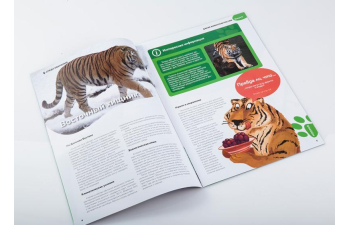 Дикие животные России № 6: Амурский тигр