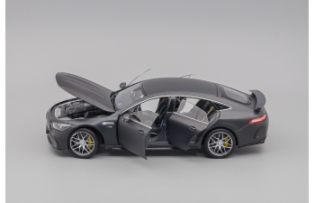 MERCEDES-BENZ AMG GT63s, gray matt