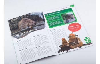 Дикие животные России № 8: Бобр