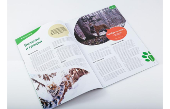 Дикие животные России № 6: Амурский тигр