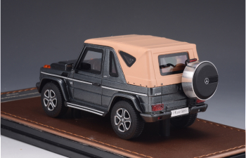 MERCEDES-BENZ G500 Cabriolet Final Edition (W463) (закрытый) 2014