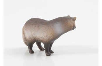 Дикие животные России № 26: Енотовидная собака (только вложение)