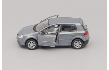 VOLKSWAGEN Golf V, grey