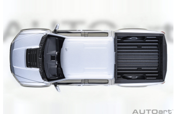 FORD F-150 Raptor Supercrew (2019), ingot silver