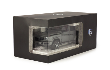 MERCEDES-BENZ W463 G-Klasse W463 II (2018), designo platinum magno