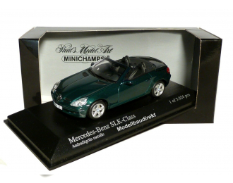 MERCEDES-BENZ SLK-Class R171 with movable roof 2004, green metallic