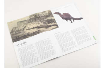 Выпуск №23. Камни и минералы. Тайны недр, Лабрадор