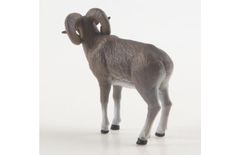 Дикие животные России № 37: Аргали