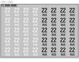 Набор декалей Дублирующие знаки России Алтайский край (100х70)