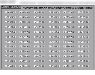 Декаль Номерные знаки индивидуальных владельцев Куйбышевская область (100х65)