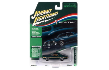 PONTIAC LeMans GT (1973), green