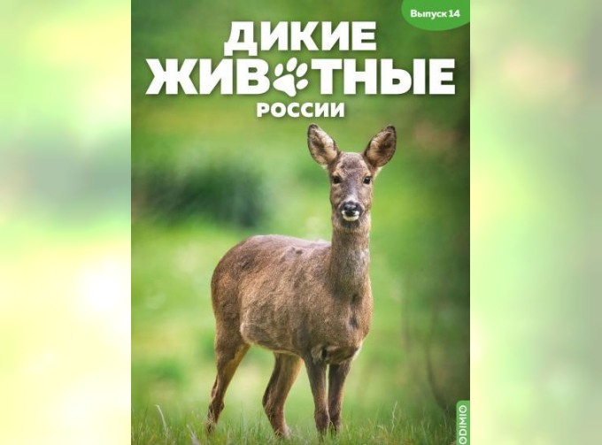 Дикие животные России № 14: Косуля