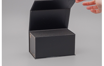 SCANIA R 580 Jan Mues, green / red