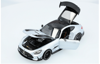 Mercedes-AMG GT Black Series, C190 silver