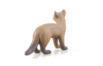 Дикие животные России № 30: Соболь