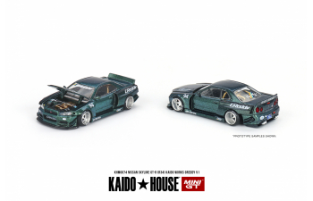 NISSAN Skyline GT-R (R34) Kaido Works "GReddy V1"