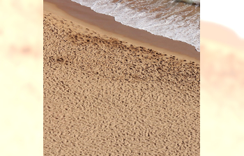 Terrains Beach Sand 250ml (Пляж)