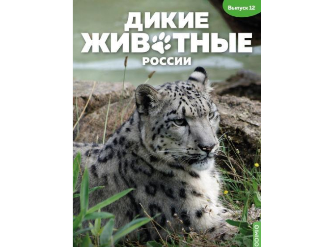 Дикие животные России № 12: Снежный барс