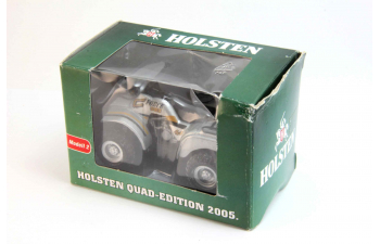 CFORCE 383 4x4 Holsten Quad-Edition (2005), silver