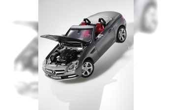 MERCEDES-BENZ SLK R172 (2011), silver palladium