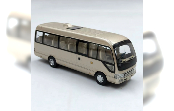TOYOTA Coaster (2013), champagne metallic