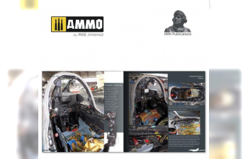 Книга Mirage F1