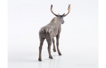 Дикие животные России № 11: Лось (только вложение)