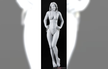 Сборная модель Фигурка девушки, Real Figure CollectionNo.27 (Limited Edition)