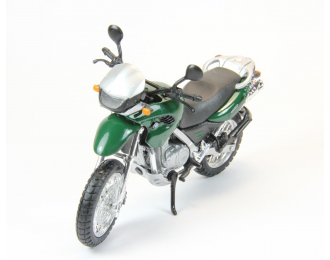 BMW 650 GS Holsten, green