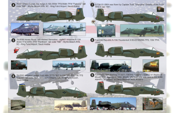 NEW A-10 Thunderbolt II Wet decal