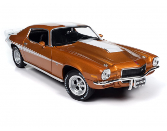 CHEVROLET Camaro Baldwin Motion (1973), brown metallic white