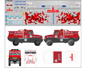 Декаль Минский спорт вариант 1