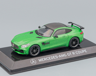 MERCEDES-BENZ AMG GTR Coupe green metallic