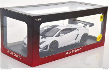 LAMBORGHINI Gallardo GT3 FL2 (2013), white