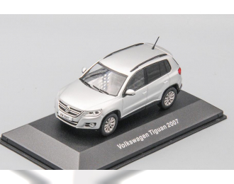 VOLKSWAGEN Tiguan (2007), silver