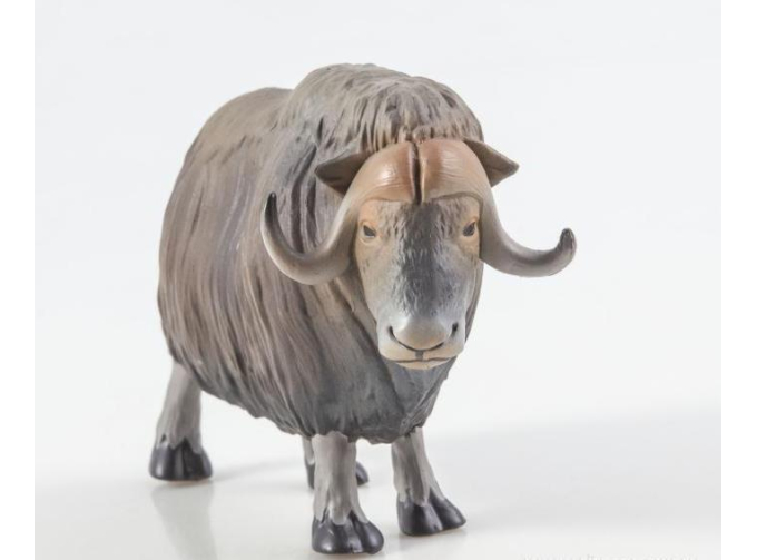 Дикие животные России № 31: Овцебык (только вложение)