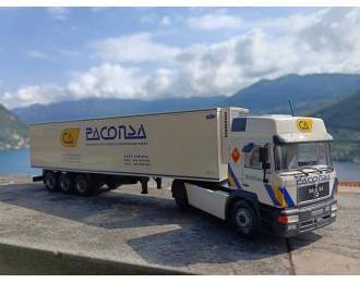 MAN 19.502 c п/п рефрижератором (1991), Camiones y autobuses 77