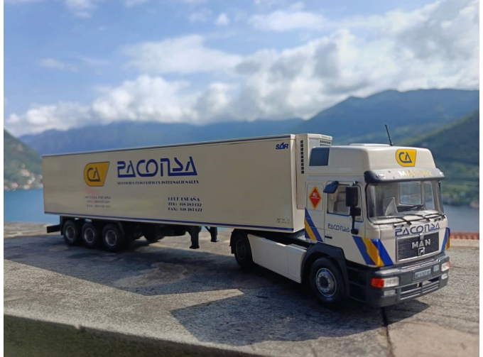 MAN 19.502 c п/п рефрижератором (1991), Camiones y autobuses 77