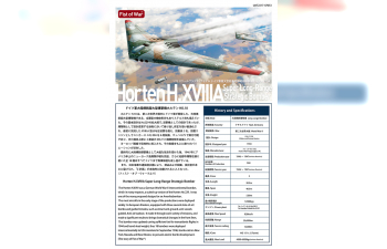 Сборная модель German WWII Horten H18A Super Long-Range Strategic Bomber